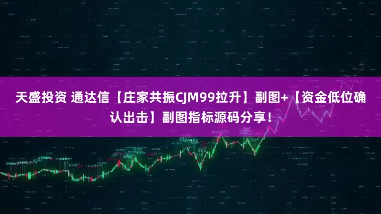 天盛投资 通达信【庄家共振CJM99拉升】副图+【资金低位确认出击】副图指标源码分享！